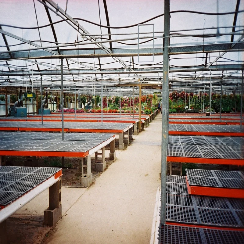 2026_06_06_3096924