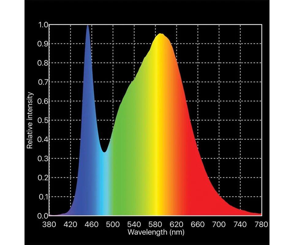 2026_06_06_3111640