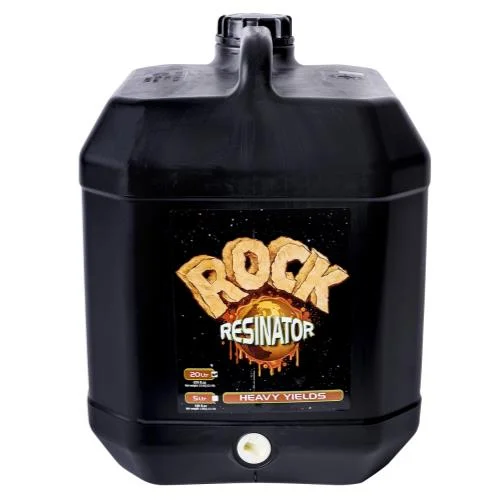 2026_06_06_3112839