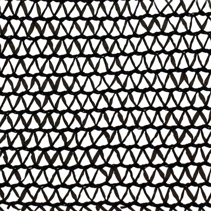 2026_06_06_3116100