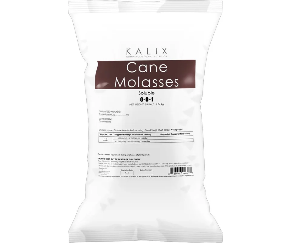 2026_06_06_3119250