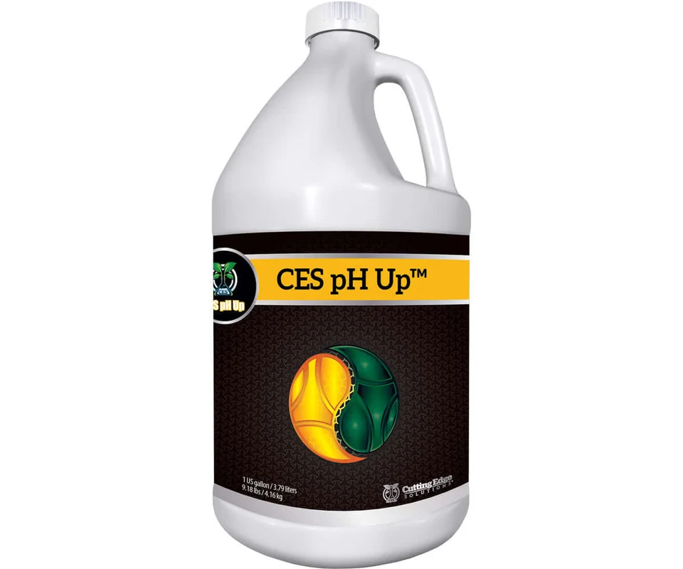 2026_06_06_3121402
