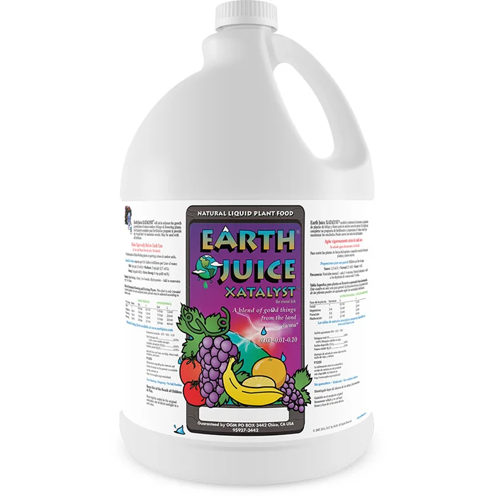 2026_06_06_3125198