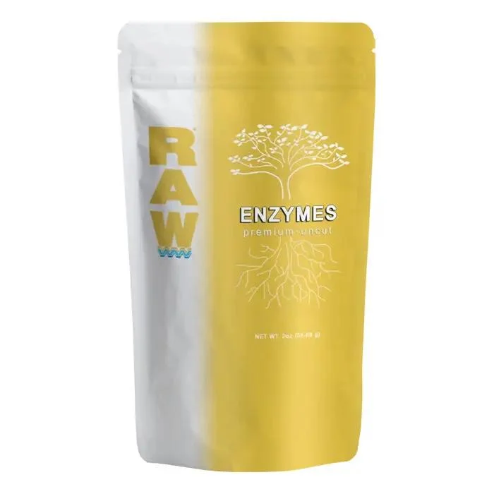 2026_06_06_3129158