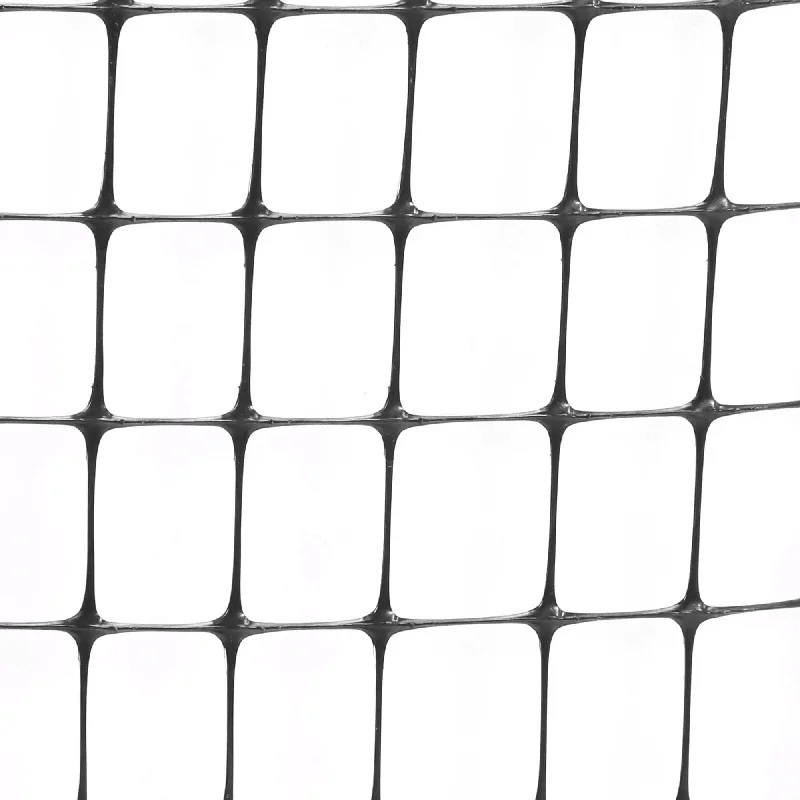 2026_06_06_3133882