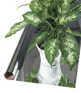 2026_06_06_3135215