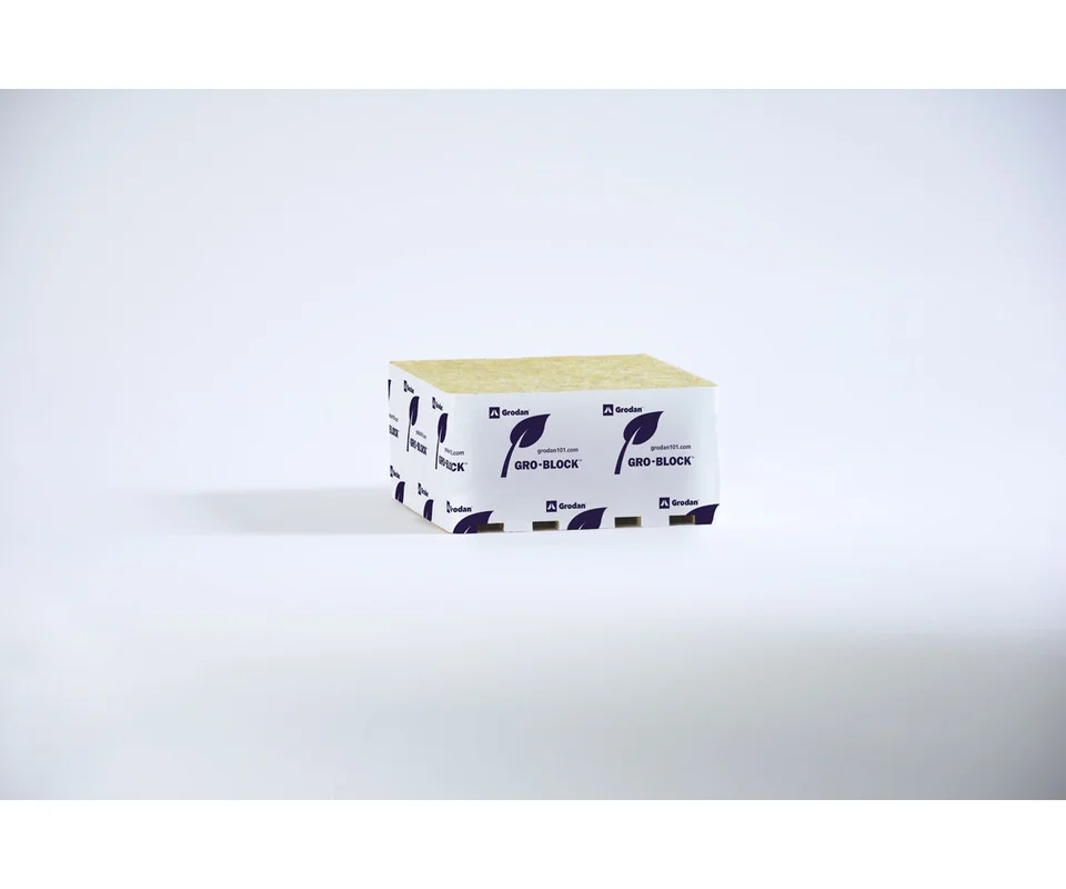 2026_06_06_3138853