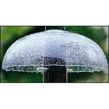 2026_06_06_3140912