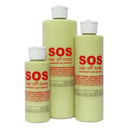 2026_06_06_3148225
