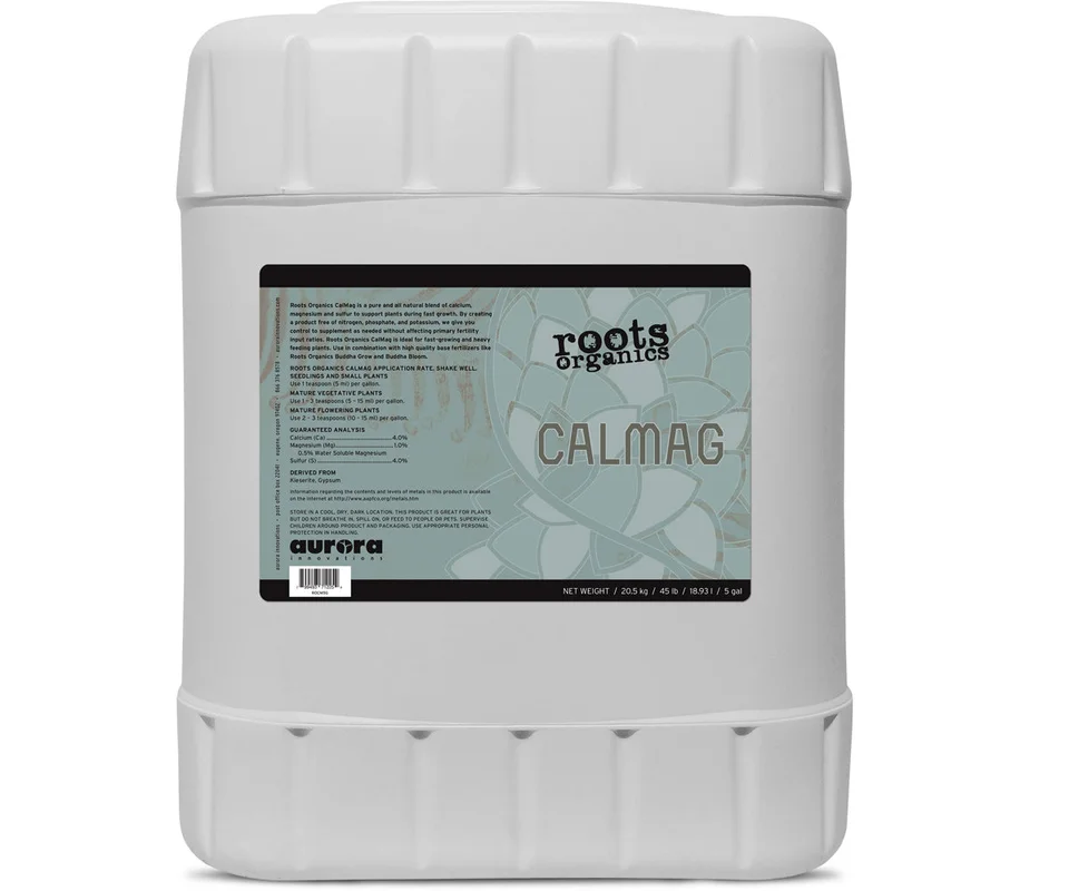 2026_06_06_3152183