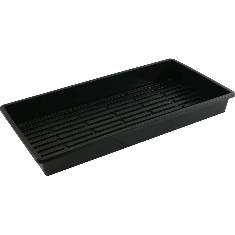 2026_06_06_3155364