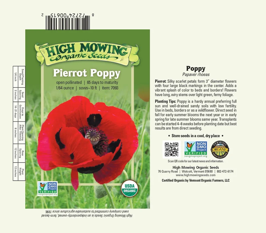 2026_06_06_3156424