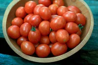 2026_06_06_3157161