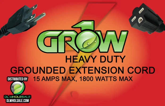 2026_06_06_3160453