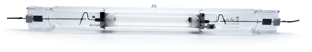 2026_06_06_3171715