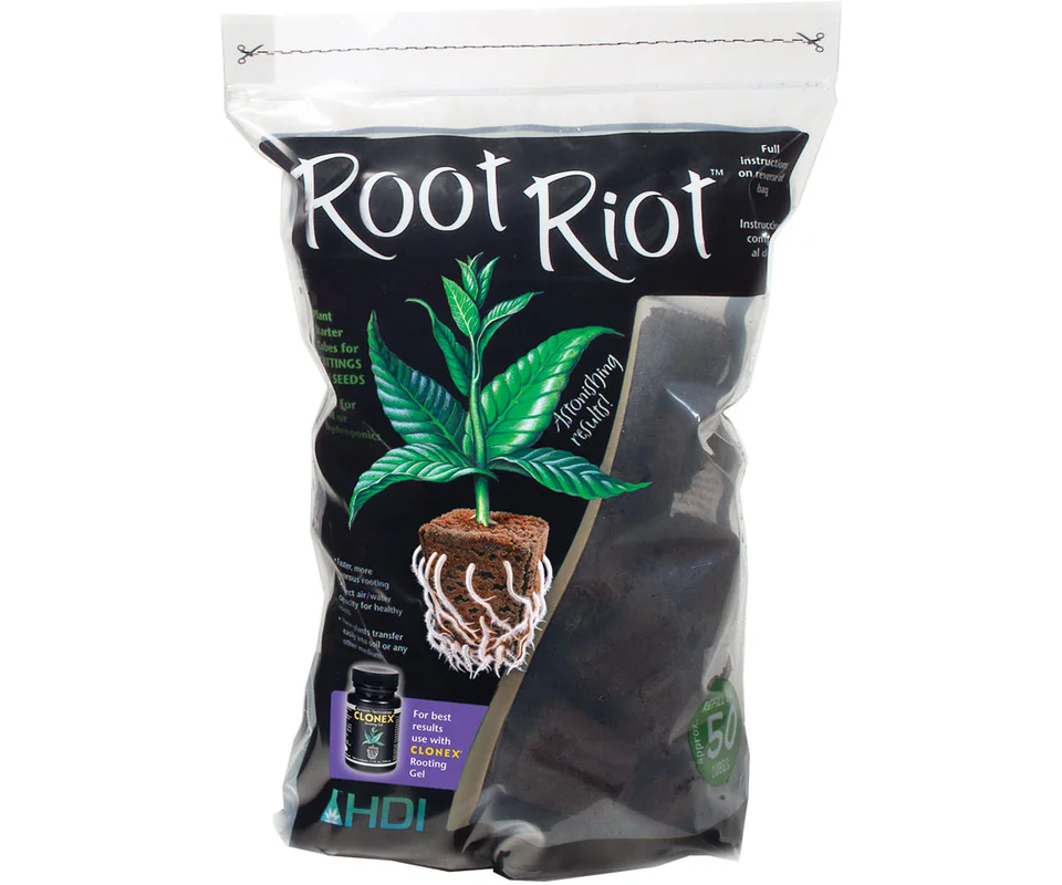 2026_06_06_3172850