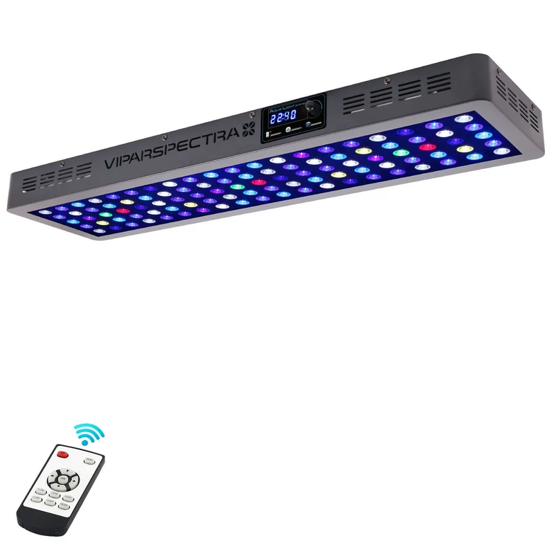 2026_06_06_3179841