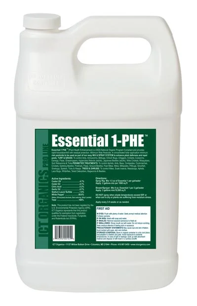 2026_06_07_3207916