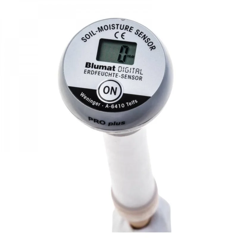 2026_06_07_3209481