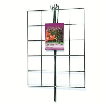 2026_06_07_3218380