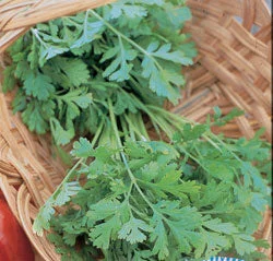 2026_06_09_3439489