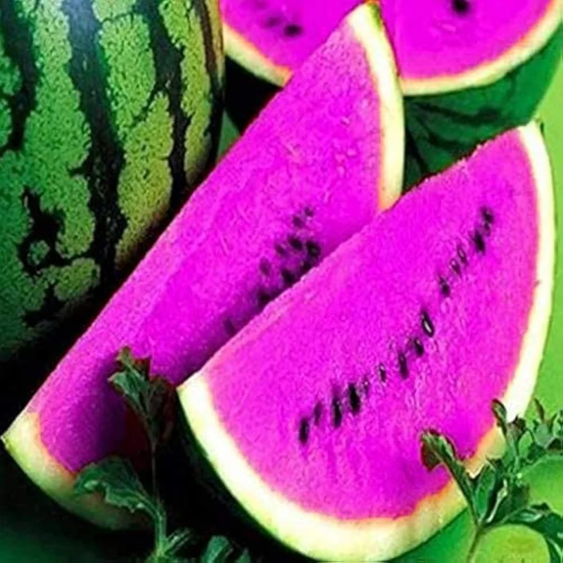 2026_06_09_3442922