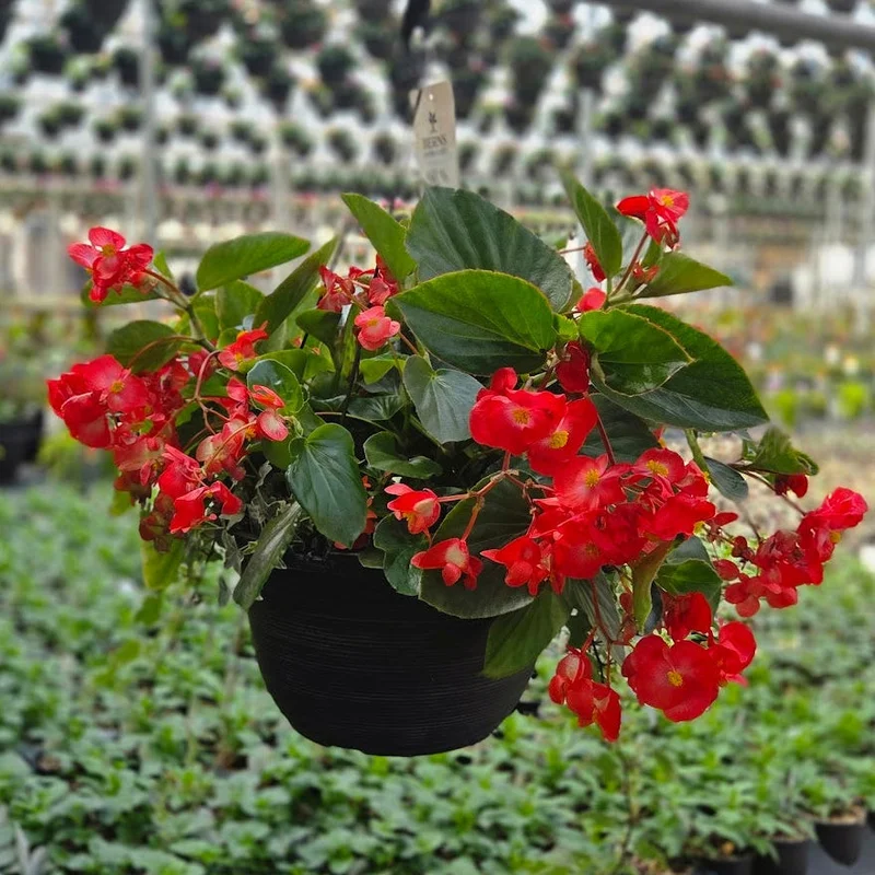 2026_06_09_3458430