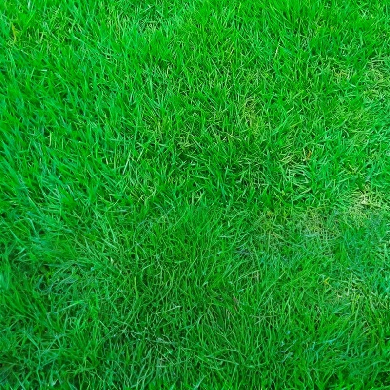 2026_06_09_3464050