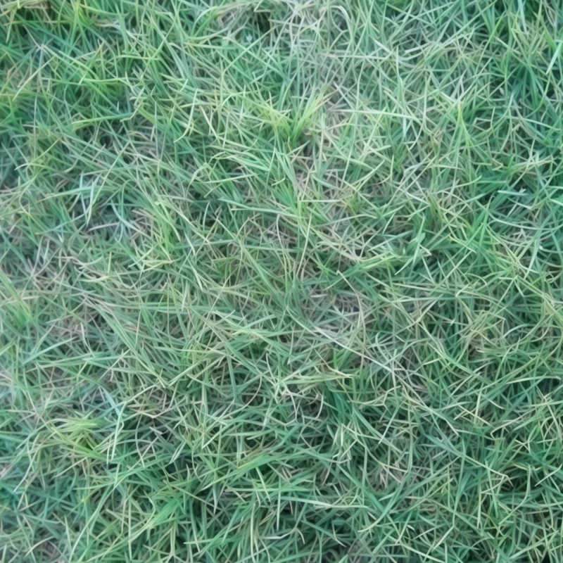 2026_06_09_3464093