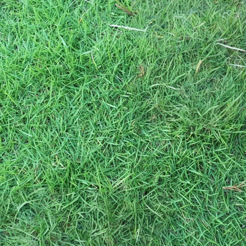2026_06_09_3464119