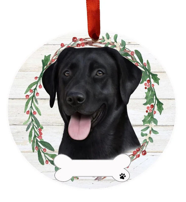 2026_06_10_3511641
