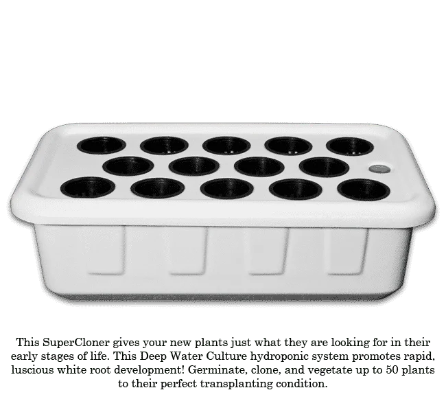 floridagardensupplies202606061204583099271