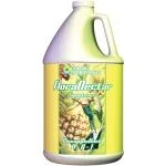 floridagardensupplies202606061614343136696