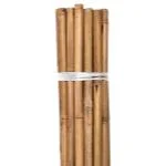 floridagardensupplies202606061657283143587