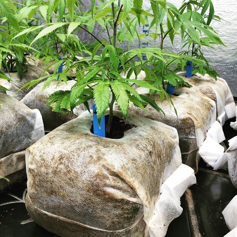 floridagardensupplies202606061737173149895